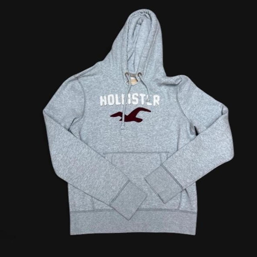 Vintage 2000s Hollister California Embroidered Logo Heather Gray Hoodie Gorpcore